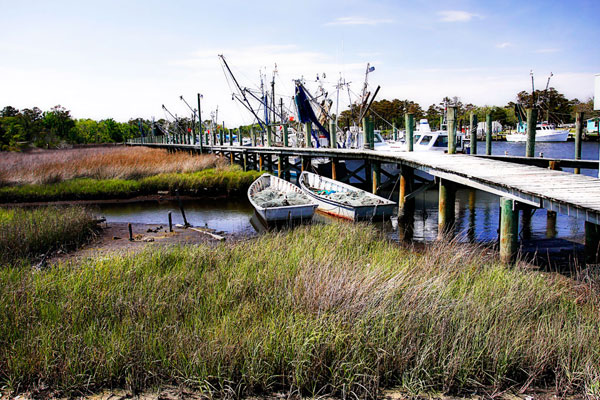 Marsh Harbor 2