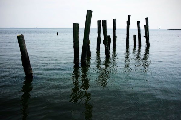 Pilings II