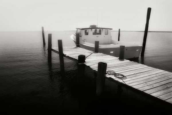 Waiting on the Fog I