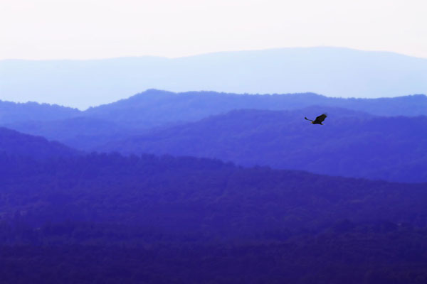 Blue Ridge I