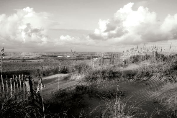 Dunes II bw