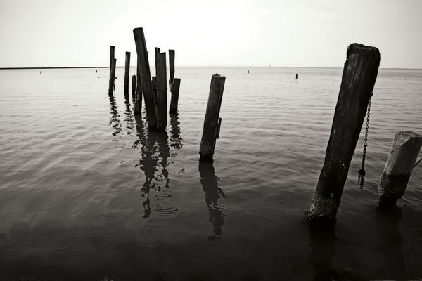 Pilings I bw