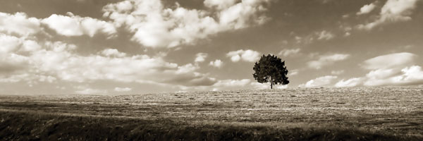Cloudy Skies Panel I