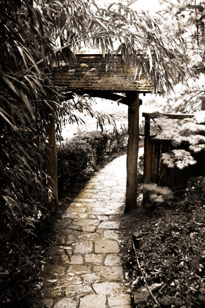 Bamboo Garden I