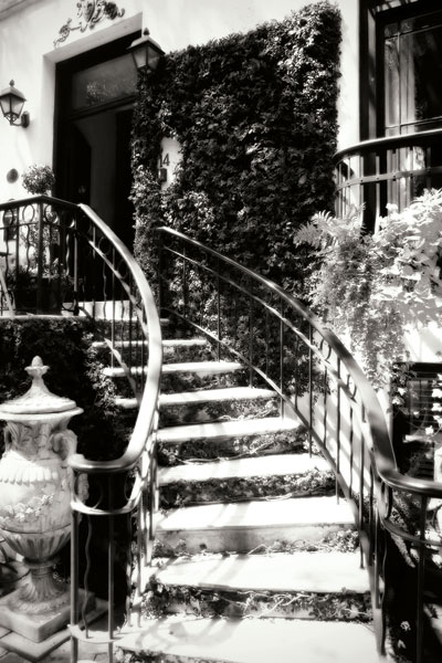 Savannah Style I