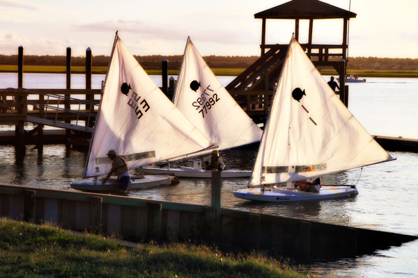 Three Sunfish II