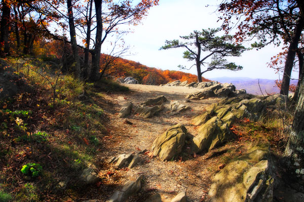 Stoney Ridge I