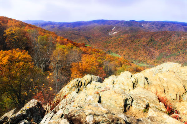 Wildcat Ridge IV