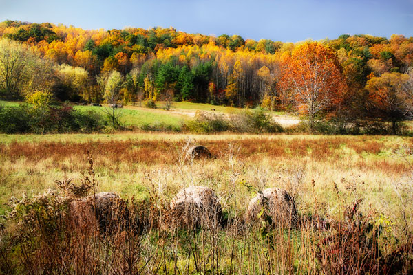 Sperryville Fields II