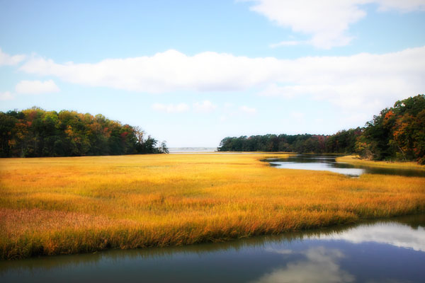 King's Creek I