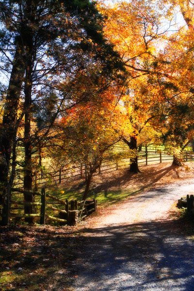 Autumn on Kent Farm III