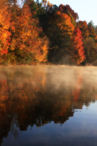 Autumn Mist I