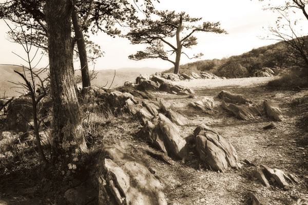 Stoney Ridge II Sepia