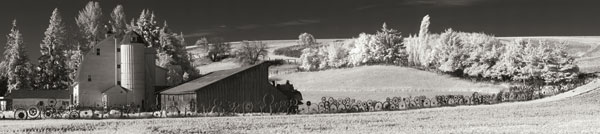 Wheel Barn & Fields