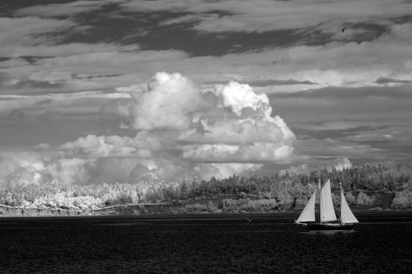 Port Townsend Sailboat I