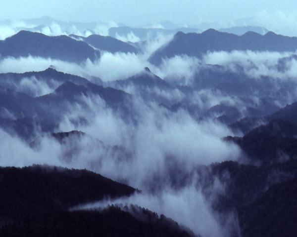 Smokey Mountains I
