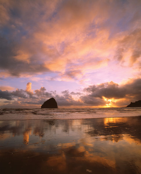 Pacific City V