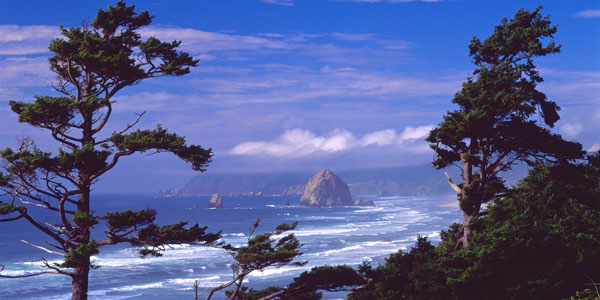 Cannon Beach XI
