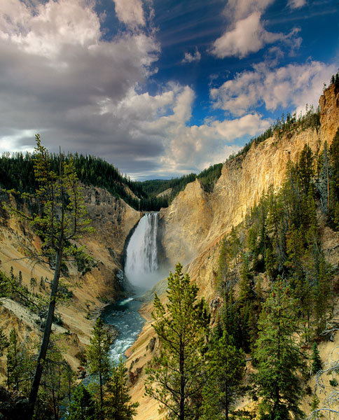 Yellowstone Falls