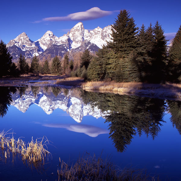 Grand Teton National Park VII