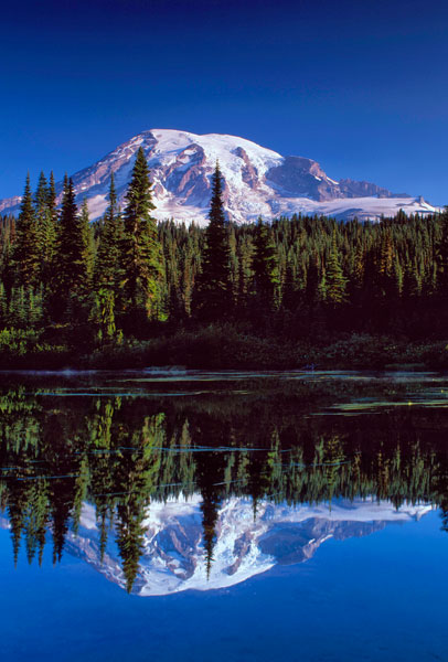 Mt. Rainier III