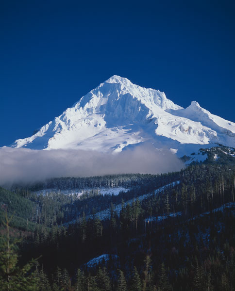 Mt. Hood XIII