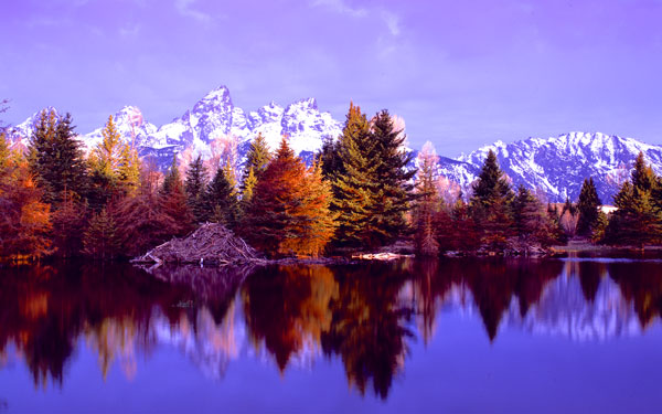 Grand Teton National Park XIV