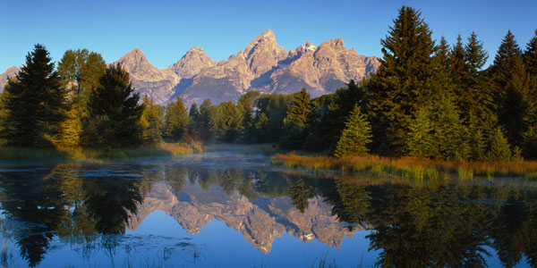 Grand Teton National Park XV