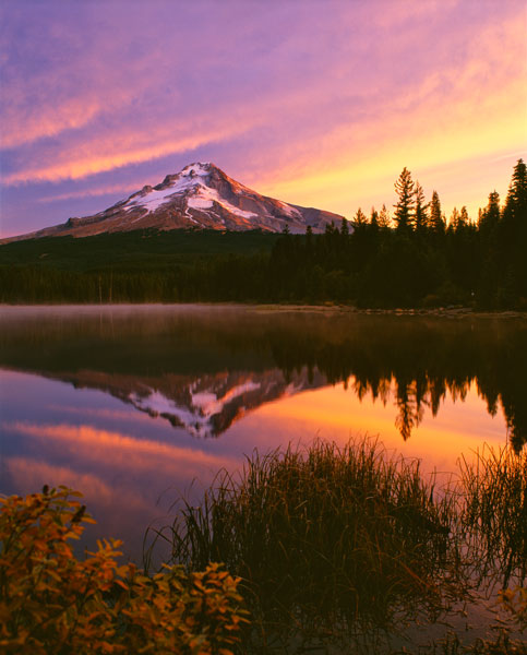 Mt. Hood XVI