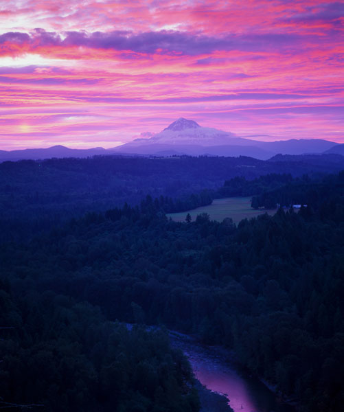 Mt. Hood XVII