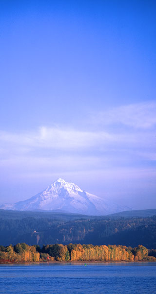 Mt. Hood XIX