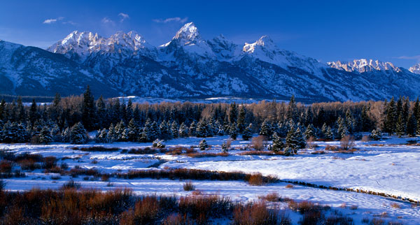 Grand Teton National Park XVI