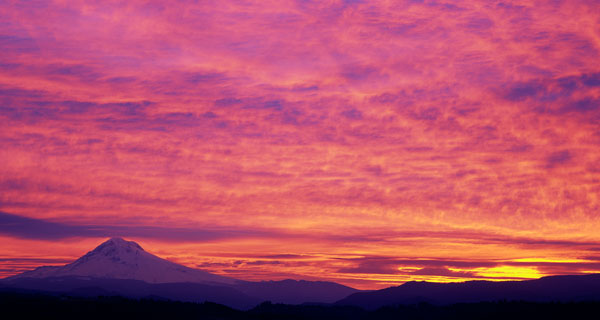 Mt. Hood XXV