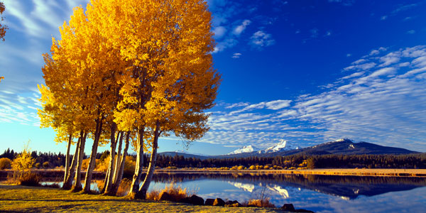 Sisters in Autumn I