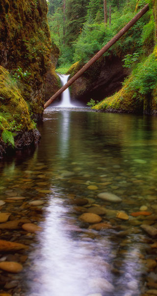 Punch Bowl Falls