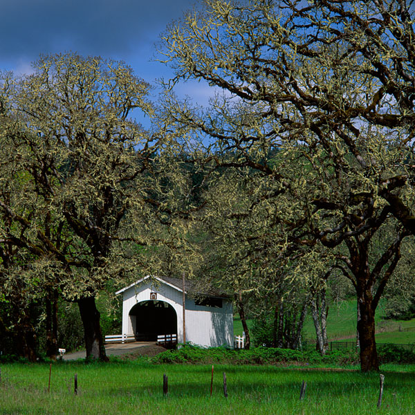 Harris Covered Bridge