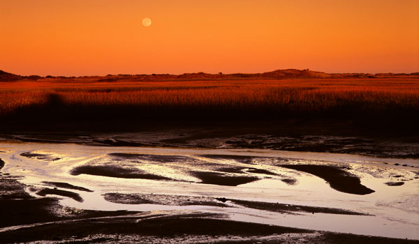 Moonrise Estuary
