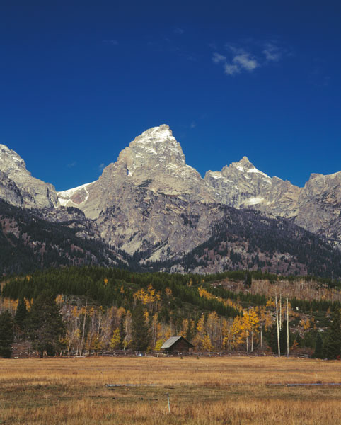 Cabin & Grand Teton
