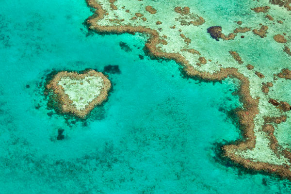 Great Barrier Reef II