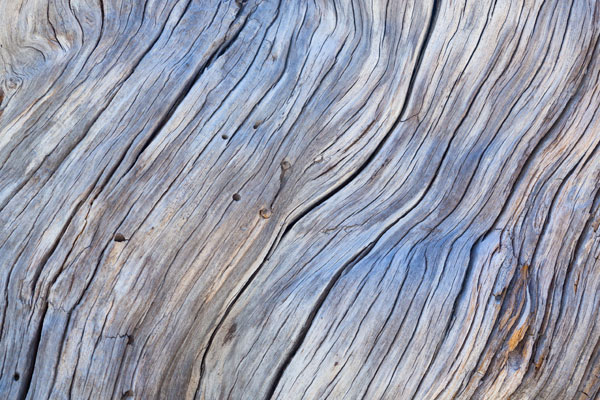 Weathered Wood IV