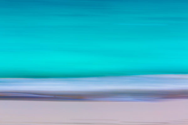 Tropical Abstract VII