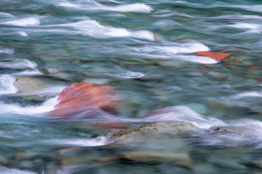 NF Skokomish River II
