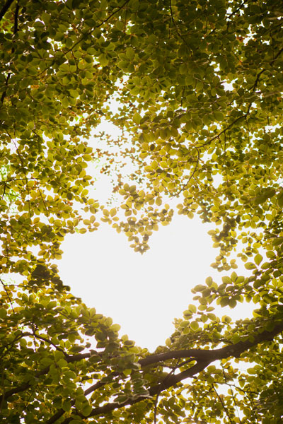 Heart in the Trees II