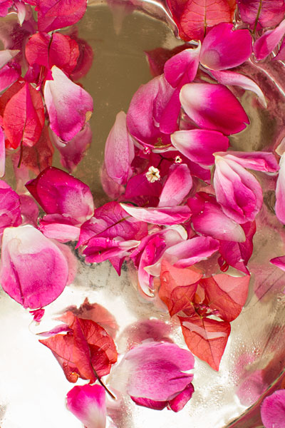 Pink Petals Abstract II