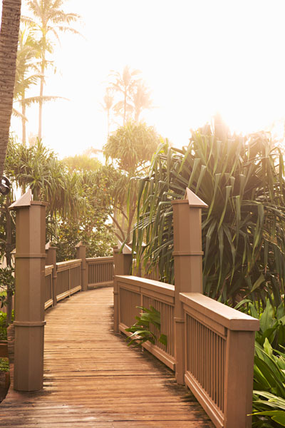 Path to the Beach