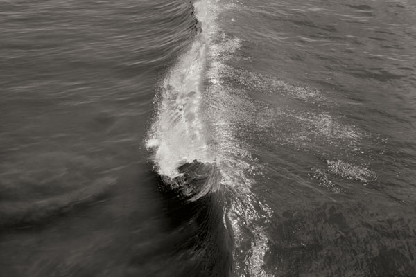Wave 1