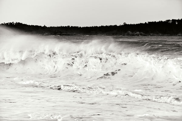 Carmel Waves I BW
