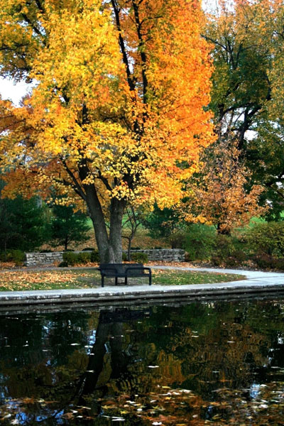 Fall in the Park