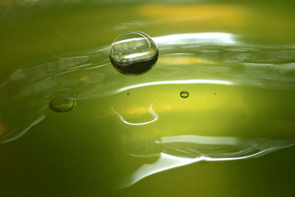 Lemon Lime Drop II