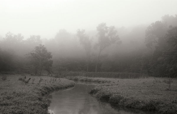 Creek in Fog I 